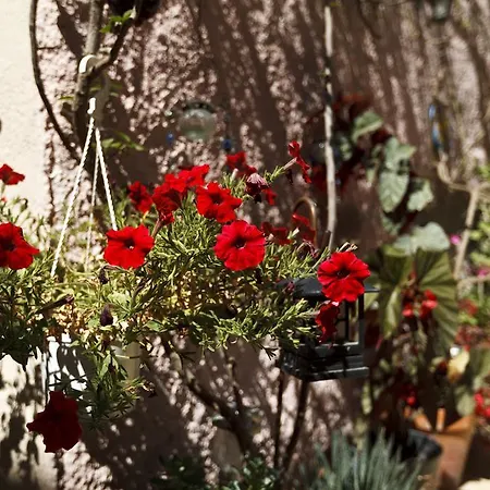 Casa Antica Apartment Rhodes City